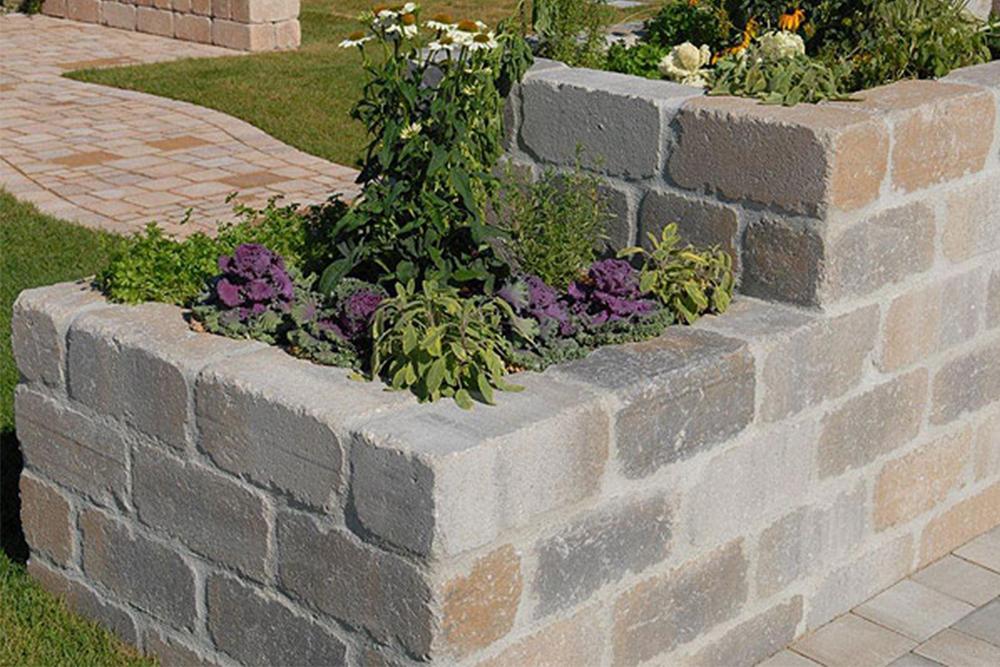 Tegula Falkő antik, kagylómész univerzális kő Tegula Falkő antik, kagylómész univerzális kő