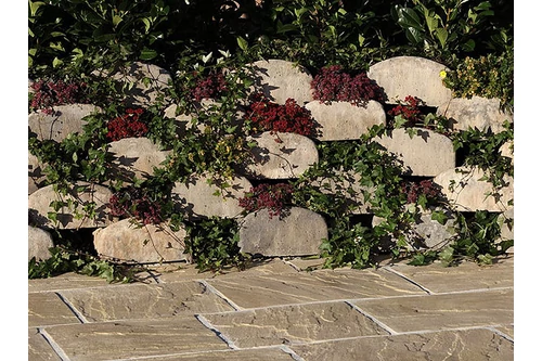 Törpekanál növénytámfal elem, kagylómész, weissenböck